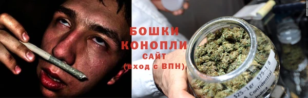ПСИЛОЦИБИНОВЫЕ ГРИБЫ Ладушкин