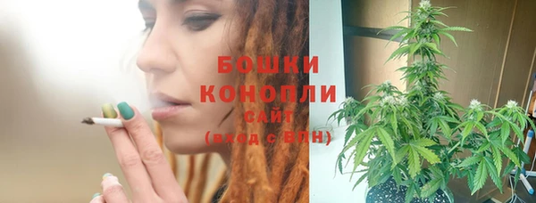 молекула духа Лиски