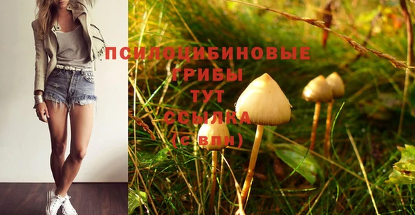 MDMA Premium VHQ Лагань
